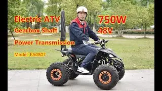 China Factory Direct Supply Electric ATV Quad Bike on Wholesale Prices EA0807