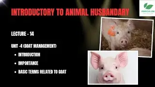 Introduction,Importance,Basic terms related to goat |Lecture _14 | Introductory to Animal Husbandry