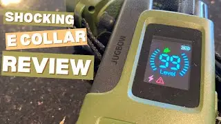 Обзор шокового ошейника Jugbow DT-61