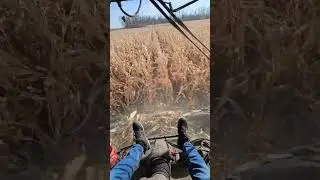 CORN HARVESTER PILOT POV #farming #harvest #agriculture #johndeere #farmlife #farminglife #corn