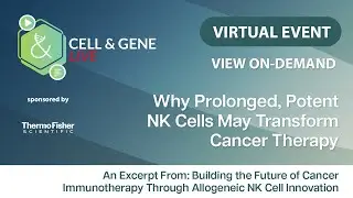 Why Prolonged, Potent NK Cells May Transform Cancer Therapy