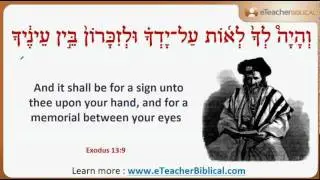 What is on a Jewish Door? | Biblical Hebrew Q&A with eTeacherBiblical