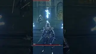 This Elden ring build is INSANE