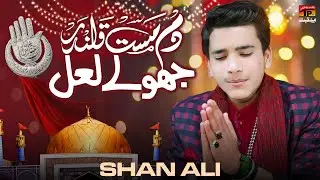 Dam Mast Qalandar Jhole Laal | Shan Ali | TP Manqabat