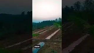 subscribe please 🥺 🙏🏻❤️ comment #kokan