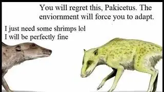 whale evolution bruh