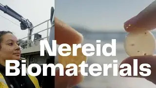 Nereid Biomaterials Breaks Down the Plastic Problem