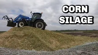 Упаковка кукурузного силоса!