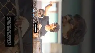 Shahrukh Khan status🖤| fan movie #shahrukh #movie #status #fan