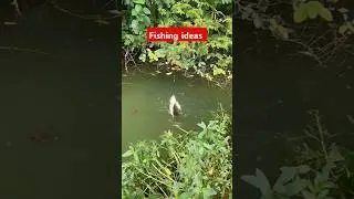 fishing idea.#shorts #viral #fisheating #fish #fishingidea #logjee