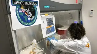 International Space Station's Fungus Problem At Center Of CU Student Research