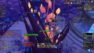Blood DK - Court of Stars +18 (Dragonflight)