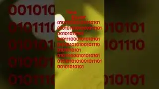 BACKRO0MS|original song:homage #transtion #error #code #backrooms #wiredcore #homage #011010101001📺