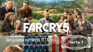 Far Cry 5 на слабом ПК с видеокартой Asus GeForce GTX 660  (2gb), а также кооператив по сети