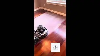 Hardwood Floor Screen/Clean/Recoat