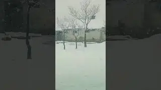Snowfall in chitral | Khyber Pakhtunkhwa Current Temperatures | Heavy snowfall in chitral 2024 🌨☃️