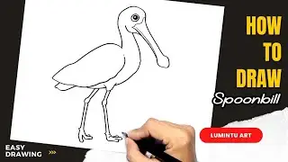How to draw Spoonbill
