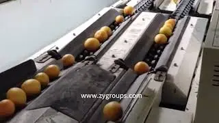 Orange juice beverage production line processing orange juice - automatic beverage production line