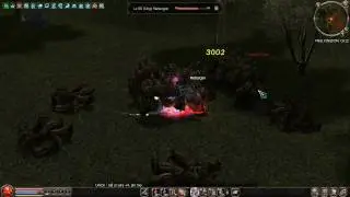 Metin2.us JoaoLuis VS Meteogon REMAKE
