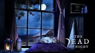 Stormy Night at the Farmhouse Ambience &lrm;&zwj;🌾⛈️ | Rain & Thunder Sounds for Relaxation