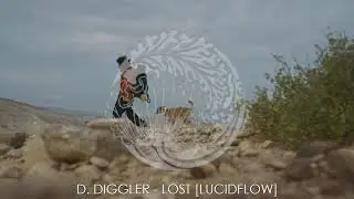 D. Diggler - Lost [Lucidflow]