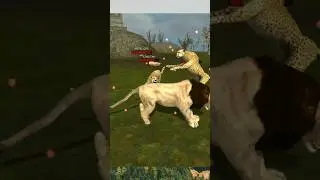 ultimate lion fight #lionfight #animals #lion