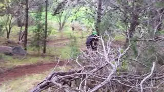 FUNNY KMART MTB CRASH!!!😂