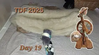 TdF Day 19 // Sleepy bees and prepping a giant batt