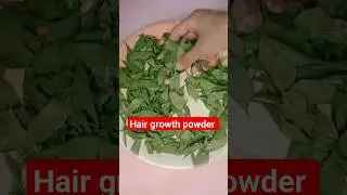 How to make Curry leaves powder at HOME. diy hair growth powder. #haircare #hairgrowth #ashortaday