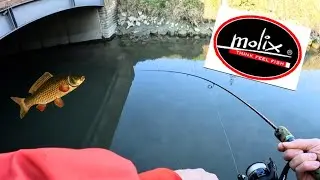 GROSSE ( GRASSE ) CARPE a SPINNING in piccoli FOSSI [pesca a ultralight alla carpa]