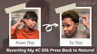 Reverting My 4C Silk Press Back to My Natural My Short 4C Tapered Cut&hellip; Shrinkage is Real😅