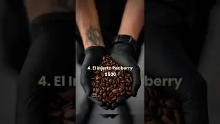 TOP 10 Most Expensive Coffee In The World  ☕ #wwe #top10beautiful #treating #yshorts