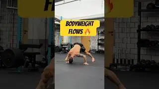 Move Better Anywhere &mdash; No Gym, Just Your Body 💪🏼 LeoMoves 🔥