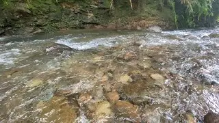 Relaxing River Sounds for Deep Sleep | Calm Forest Water Ambience