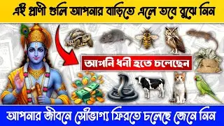 আপনার জীবনে সৌভাগ্য ফিরতে চলেছে জেনে নিন 😱আপনি ধনী হতে চলেছেন💸🕉️ #facts #mythology @Sanatani_bangla 