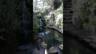 Nine Springs Vid 10 Tedgers Ramble