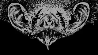 【Hunt: Showdown】Trait Icon Animation&mdash;&mdash;Shadow#huntshowdow #wallpaper #steam #animationart