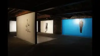 Pascal Picard Peintre : exposition TRANSITION 2014.
