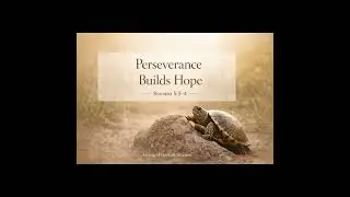 Lessons From Turtles: Patience, Perseverance & Faith (Slow and Steady Trust in God)
