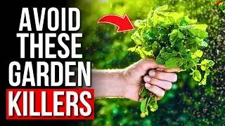 Invasive Plants to Avoid in Your Garden | Plants You Should NEVER Grow!