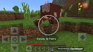 Jsjsj