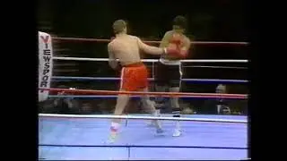 Henry Maske-Antonio Arvizu highlights