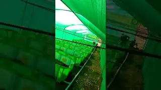 Vermi compost project HDPE portable system.