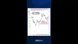 How Come Bitcoin is Up Despite the SEC Crackdowns?