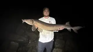 This fish almost spooled me…