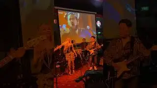 harats no roots cover live