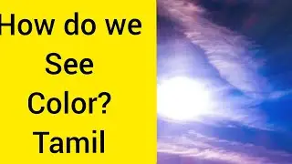 how do we see color  Tamil