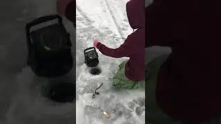 Catching a crappie using an Humminbird Ice 35