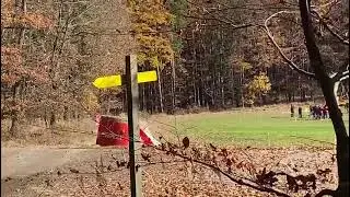 Wald4tel Rallye 2021
