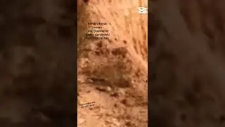 ne kadar havalı demi benden 20 kilo fazla bu resimdeki kadar zayıf değilim